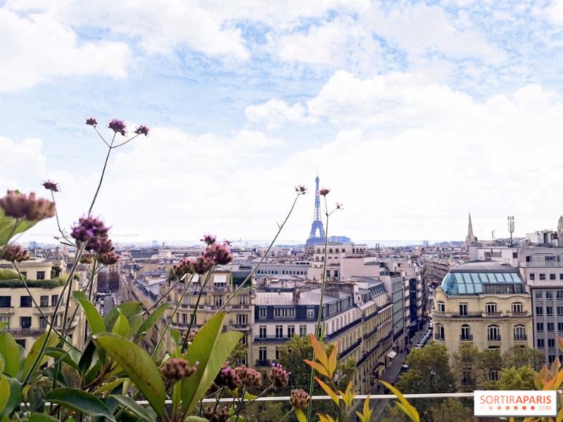 Terrasse de restaurant élégant avec vue imprenable sur la Seine et Notre Dame de Paris